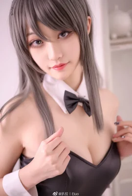 青春豬頭少年不會夢見兔女郎學姊@滄霽桔梗(9P)