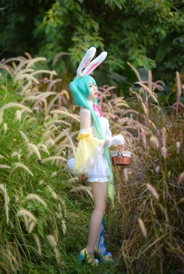 《VOCALOID》初音未來Cosplay【CN：A_月姬】 (9 圖片)