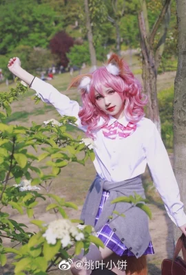 FGO 玉藻前@桃葉小餅(9 圖片)