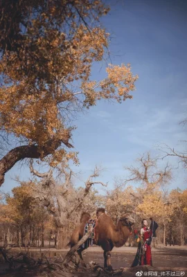 劍網3 明教CN：小七(9 圖片)