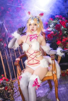 (二佐Nisa) fate白貞危險野獸