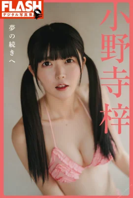 小野寺梓(Photobook) FLASH寫真集—為了夢想的延續 (139 相片)
