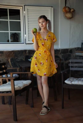 伊娃·埃爾菲 – 閃現（100 張照片）