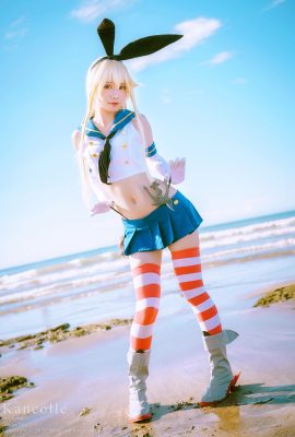 同上娃娃 – Shimakaze