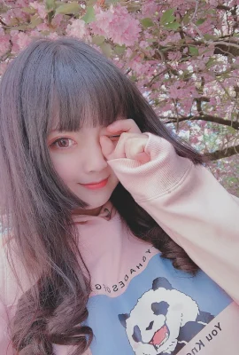 一隻雲燒《網路收集散圖》 (82 圖片)