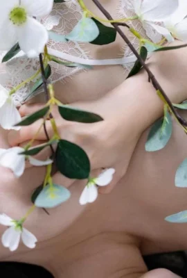 MERRY-222B 梅里 (103 張)