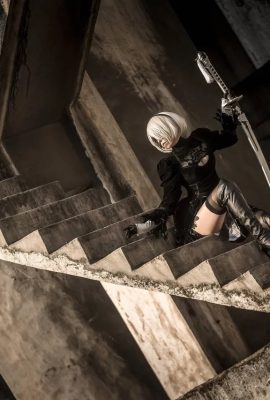 (菌燁tako) 尼爾機械紀元2B