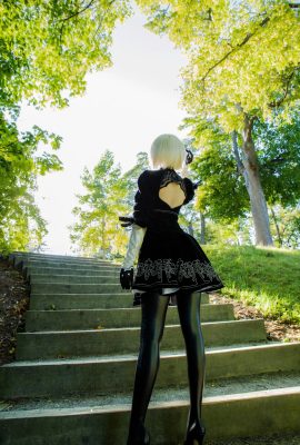 約克或2型B（Misswarmj）