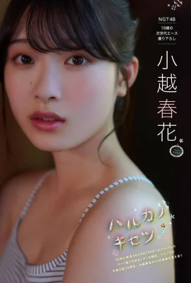 (小越春花) 姣好身材若隱若現 發育爆滿意外有料 (9 圖片)