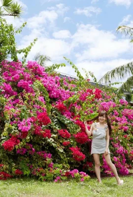 Amaki Jun卷760（99張照片）