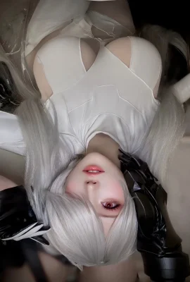 Shokora Cosplay灰姑娘