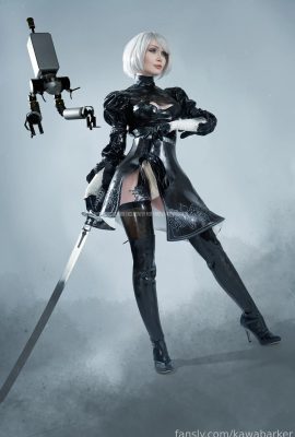 Zirael REM  –  2B乳膠