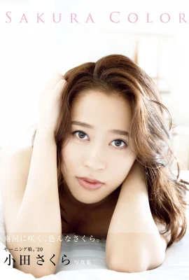 (小田さくら) 火辣養眼曲線又白又嫩超誘人 (35 照片)