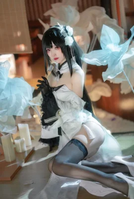 (大大卷卷小卷)碧藍航線 鎮海原皮