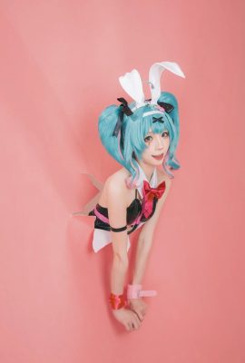 kitaro_kitaro miku兔子洞