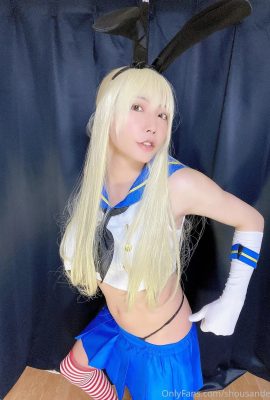 Mayu Shinsaki  –  Shimakaze