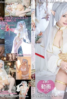 葬禮上約1200年的精靈