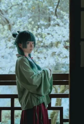 -矢量魚-?? – Maomao