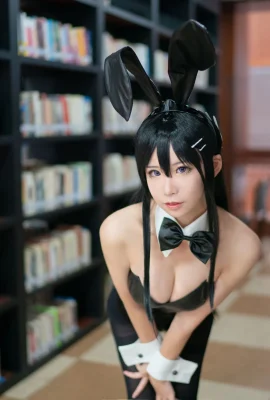 動漫博主愛老師_PhD – 兔女郎學姐 (8 圖片)