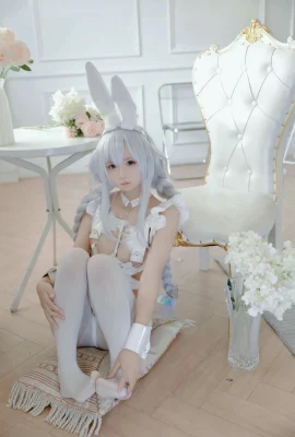 喜歡愛理嗎 – 碧藍航線 惡毒 白兔