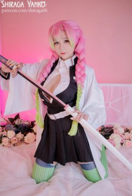 Shiraga Yanko  –  Mitsuri Kanroji Kimetsu No Yaiba