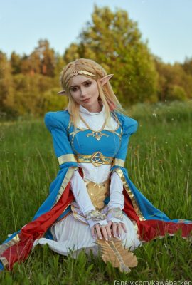 齊瑞爾·雷姆 – 塞爾達傳說